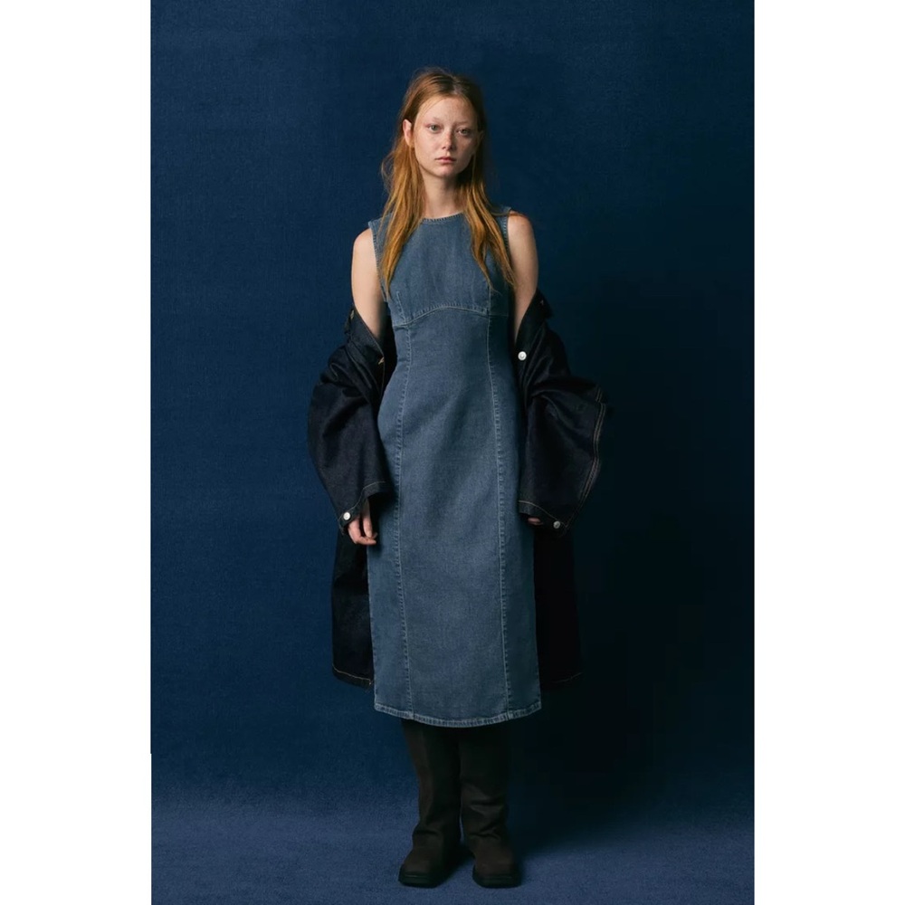 Zara denim dress